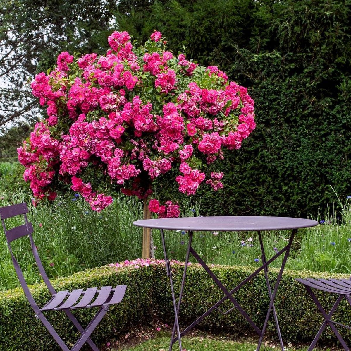 DECOROSIER TIGE EMERA 2-min