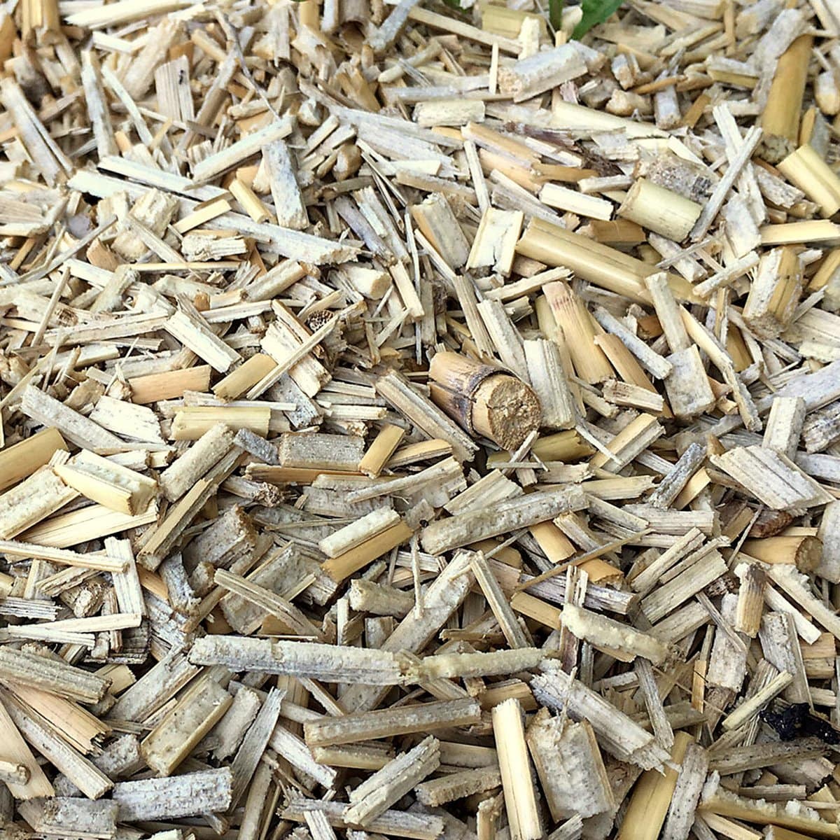 PAILLAGE MISCANTHUS 3 W-min