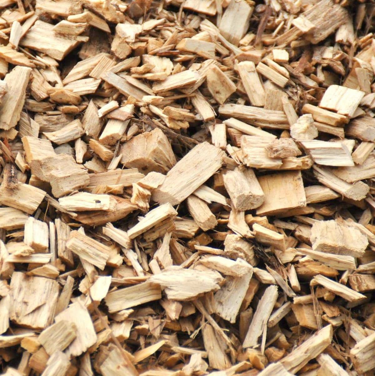 PAILLAGE PEUPLIER 3 W-min