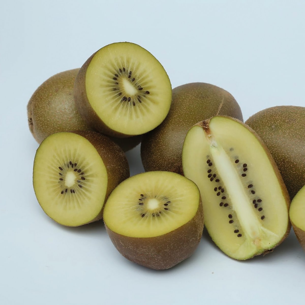 ACTINIDIA KIWHAPPY VERDIA3-min