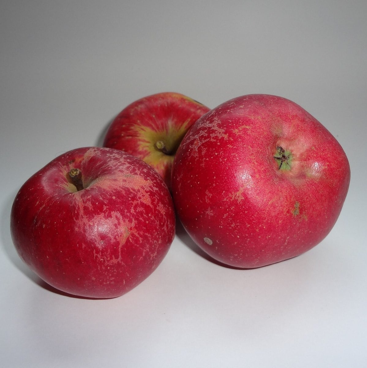 POMMIER MELROSE WF-min