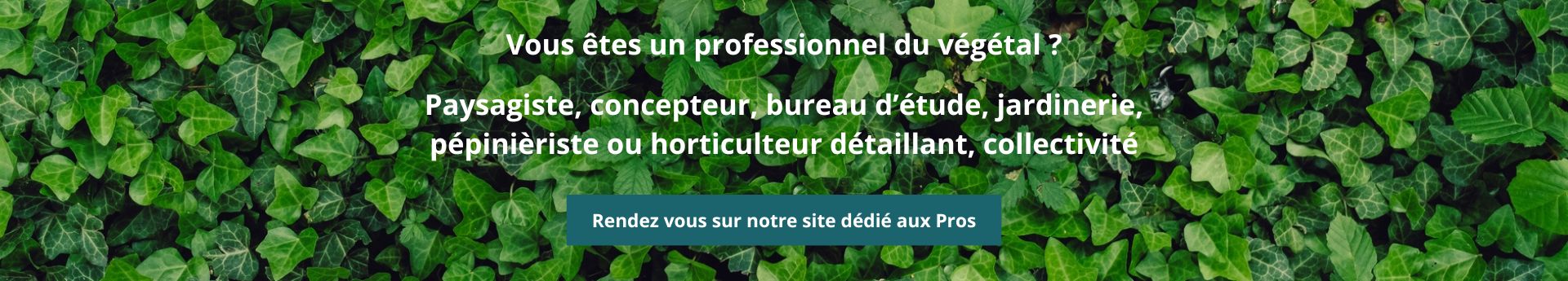 wizi 1920x345 pro