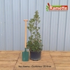 2024 ILEX ALASKA C25-min