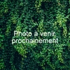 PHOTO 2-min