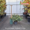 2025 VIBURNUM LANARTH C7.5-min