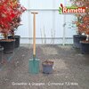 2025 GROSEILLIER GRAPPES C7.5-min
