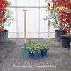 2025 ROSIER VOLUPTIA C3-min