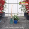 2025 ROSIER VOLUPTIA C10-min
