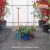 2025 DECOROSIER C5X3-min