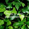 PHOTO 3-min