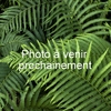 PHOTO-min