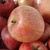 POMMIER FUJI WF-min