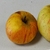 POMMIER REINE DES REINETTES WF-min