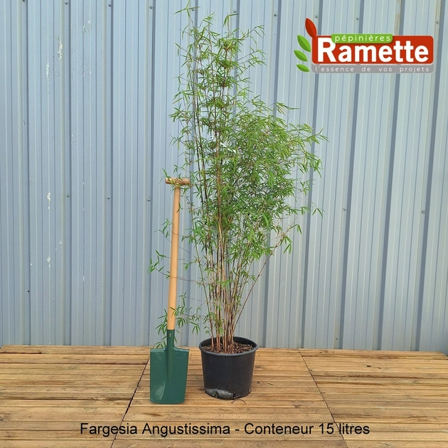 holzspielzeug fagus Fagus Gabelstapler 10.43 aus Buchenholz main image 0