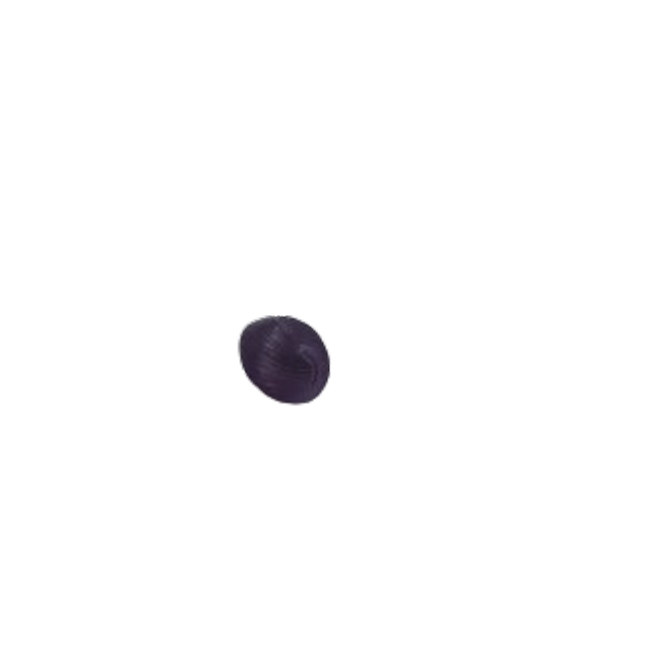 bouton noir a queue2