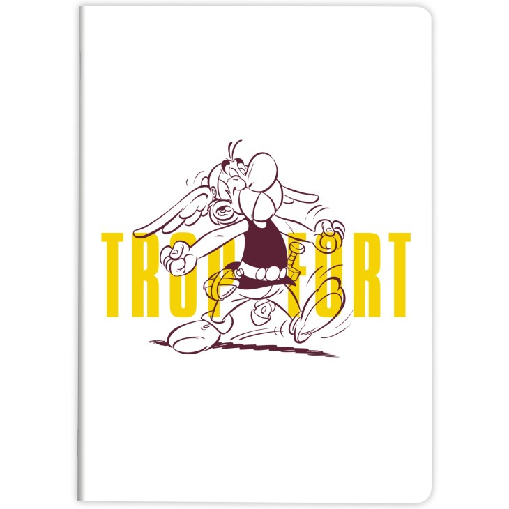 asterix-carnet
