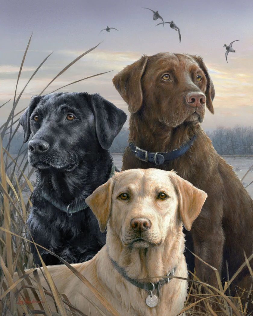 trio-de-labrador-animaux-chiens-france-intermediaire-nouveautes-peinture-par-numeros-figuredart-free-shipping-977_1024x10242x