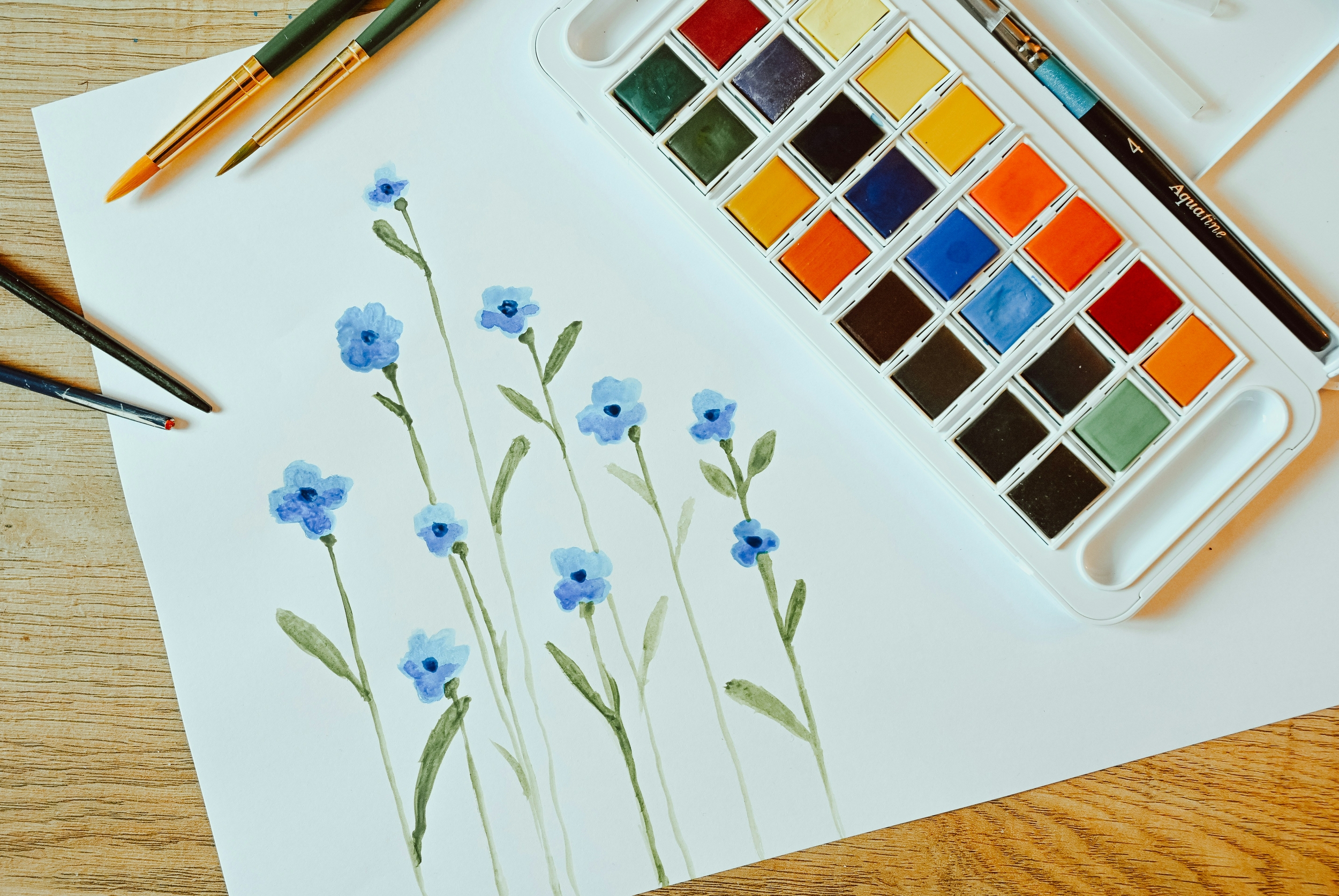 aquarelle aquafine
