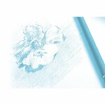 dessin-a-grain-pochette-12f-a4-125g