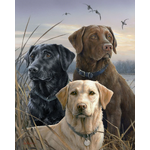 trio-de-labrador-animaux-chiens-france-intermediaire-nouveautes-peinture-par-numeros-figuredart-free-shipping-977_1024x10242x