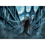 Moth bitten librairy pour web