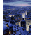 city-3-24-10-4-59-PM-8-C-5926x9115-1947-1502-150-Custom-1-25-s-R26-9-G30-0-B54-8_1053468d-01e0-4fca-b72b-e8d55e2c3b6c_1024x10242x