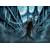 Moth bitten librairy pour web