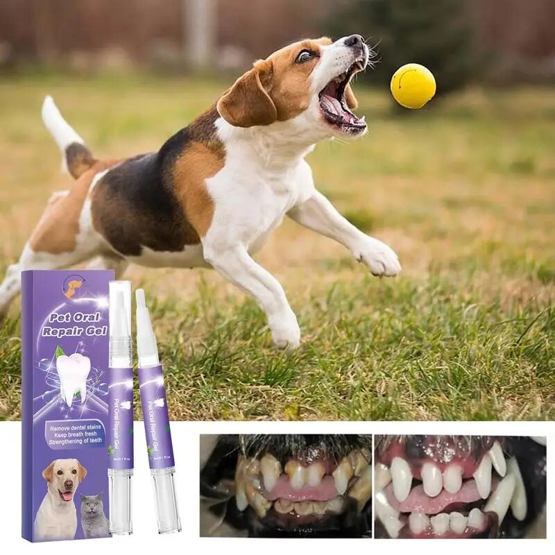Gel-de-R-paration-Buccale-pour-Animaux-de-Compagnie-Nettoyeur-de-BroCumbria-des-Dents-Spray-de