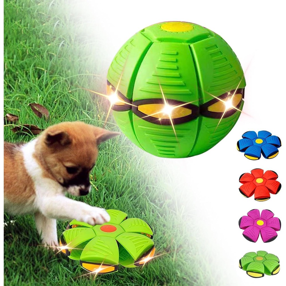 05-2019-magiques-volants-pour-chiens-sports-de-plein-air-IkInteractive-balle-d-entra-nement