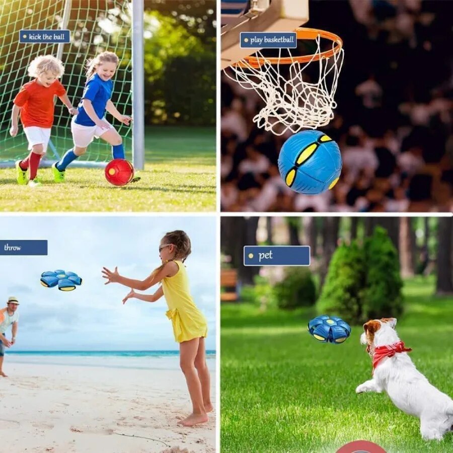 05-2019-magiques-volants-pour-chiens-sports-de-plein-air-IkInteractive-balle-d-entra-nement