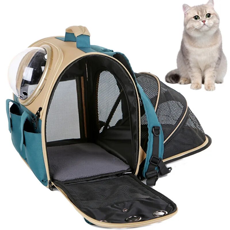 Sac-capsules-transparent-pour-animaux-de-compagnie-extensible-portable-respirant-grande-capacit-fournitures-pour-chat-SR