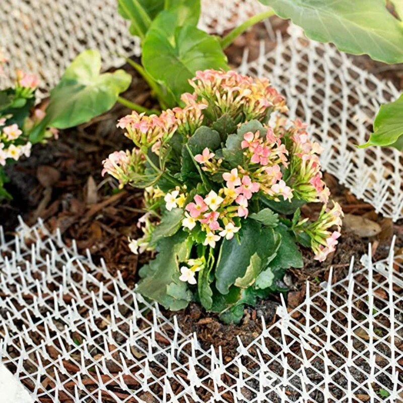 Filet-de-balcon-innovant-pour-animaux-de-compagnie-s-curit-pour-chien-polyvalent-adapt-aux-chats