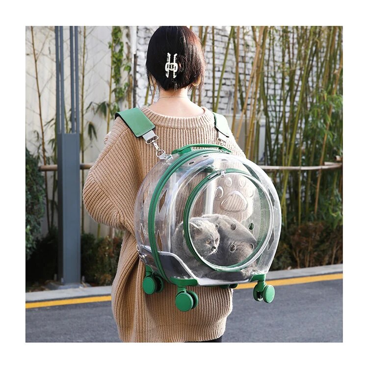Sac-de-sortie-portable-de-grande-capacit-pour-chat-et-chien-SR-pour-animaux-de-compagnie