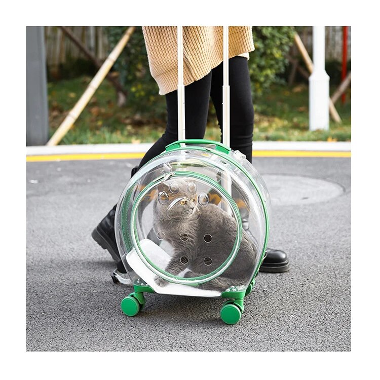 Sac-de-sortie-portable-de-grande-capacit-pour-chat-et-chien-SR-pour-animaux-de-compagnie