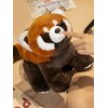 Jouets-en-peluche-de-raton-laveur-mignon-oreiller-de-dormeur-poup-es-animales-douces-canap-voiture.jpg_640x640