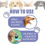 Spray-Dentaire-pour-Animaux-de-Compagnie-Spray-Dentaire-D-pistolet-ant-limine-Temporairement-les-Taches-et