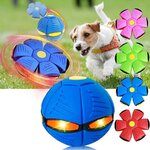 05-2019-magiques-volants-pour-chiens-sports-de-plein-air-IkInteractive-balle-d-entra-nement