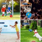 05-2019-magiques-volants-pour-chiens-sports-de-plein-air-IkInteractive-balle-d-entra-nement