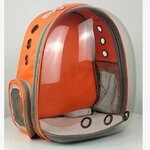 Sac-Dos-Portable-Transparent-pour-Animaux-de-Compagnie-Capsule-Spatiale-pour-Sortir-Respirant-Produits-pour-Chats
