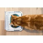 5060180391928_S7183412_P41