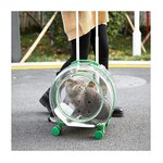 Sac-de-sortie-portable-de-grande-capacit-pour-chat-et-chien-SR-pour-animaux-de-compagnie