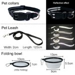 Sac-dos-portable-Electrolux-pour-chien-de-compagnie-sac-dos-d-ext-rieur-ensemble-de-voyage