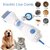 Peigne-lectrique-Anti-Poux-pour-Animaux-de-Compagnie-Brosse-Puissante-pour-Chiot-Chien-et-Chat-Accessoire