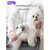 NEX-S-che-cheveux-intelligent-pour-animaux-de-compagnie-300W-Golden-Retriever-toilettage-coup-et-peigne