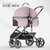 Poussette-amovible-en-alliage-pour-animaux-de-compagnie-chariot-pour-chiot-chariot-pour-Corgi-et-chat