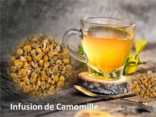 Infusion_de_camomille_m