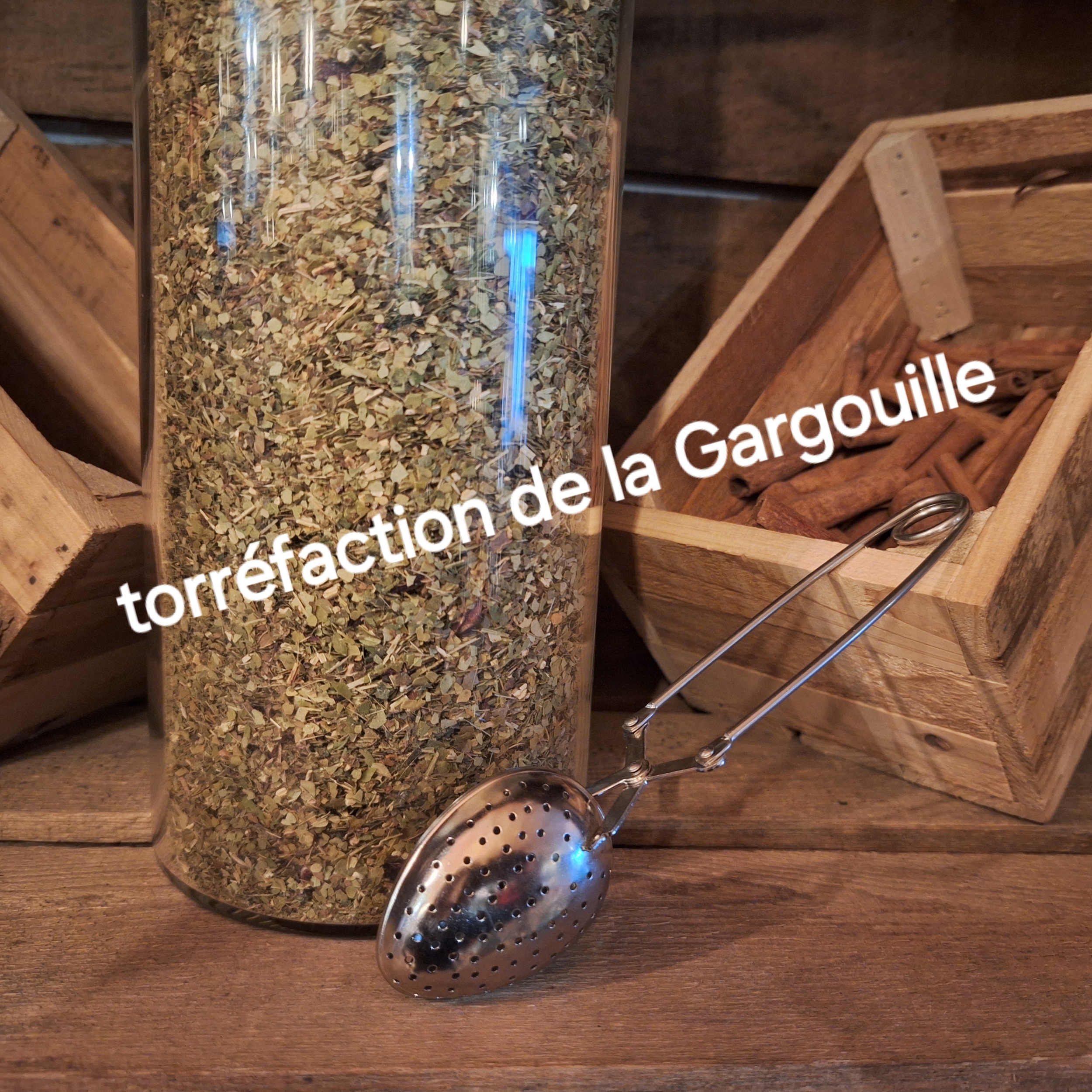 Filtre Pince en Inox