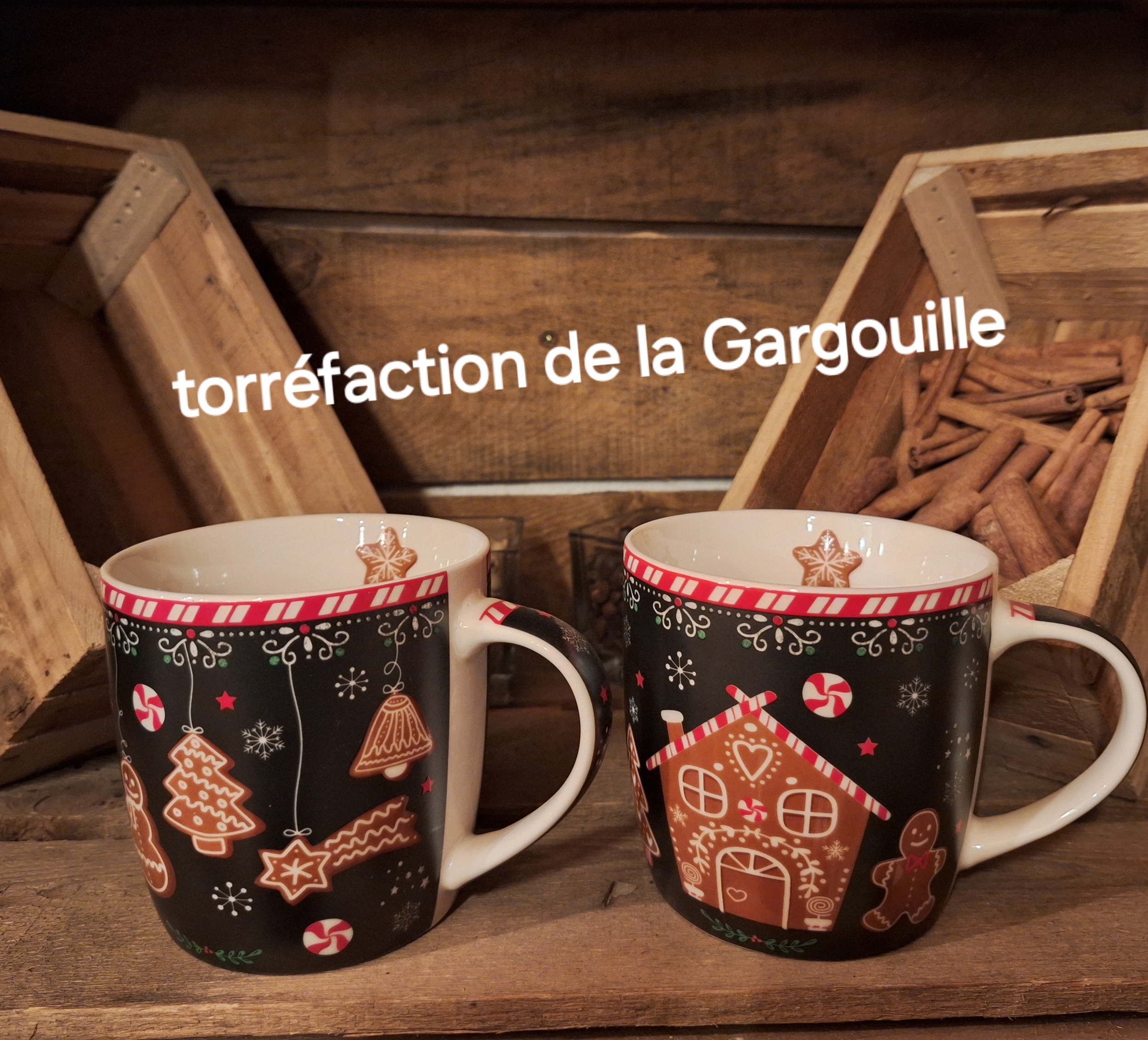 Coffret 2 Mugs 35cl