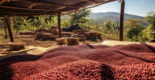 Nicaragua 2