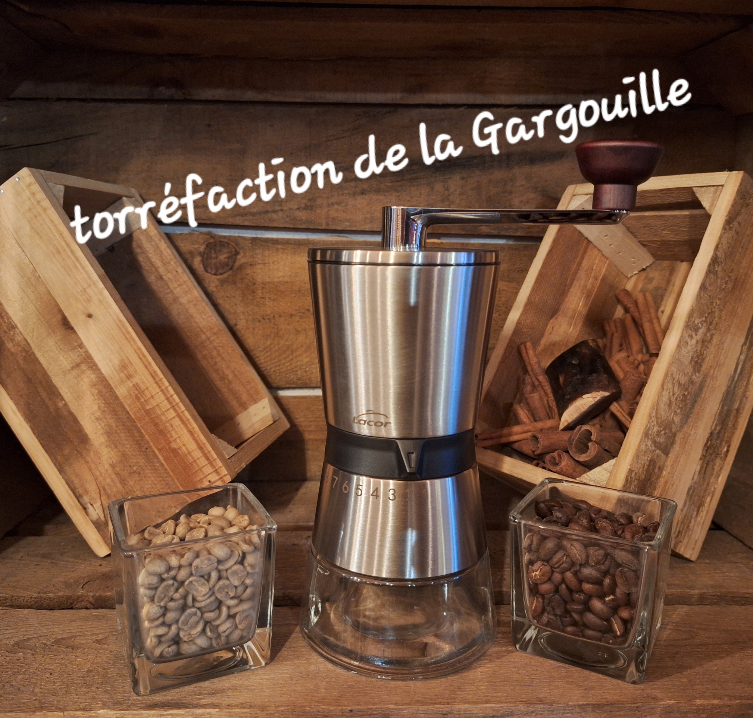 Moulin à Café en Inox - 8 Niveaux de Mouture
